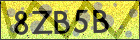 Captcha Sicherheitscode